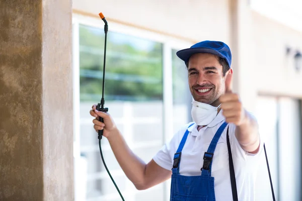 Middletown Wasp Removal