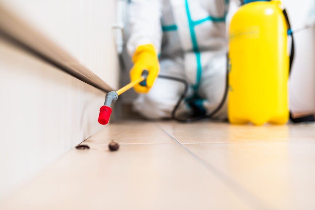 Middletown Cockroach Experts
