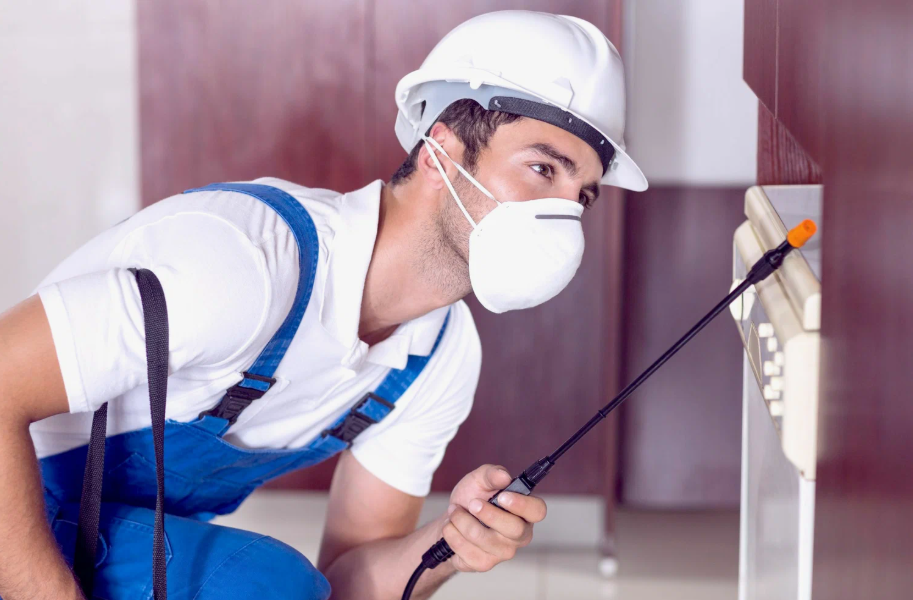 Middletown local pest services