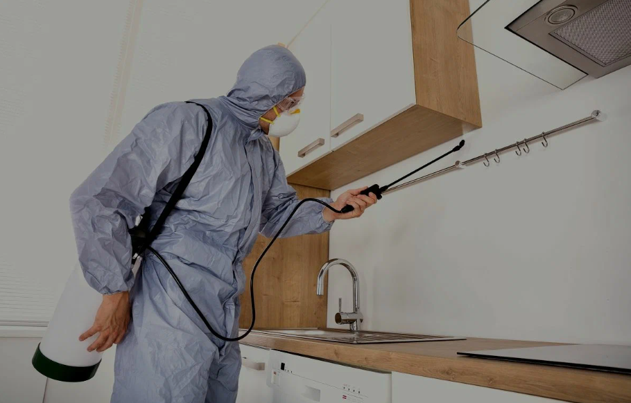Middletown pest managment