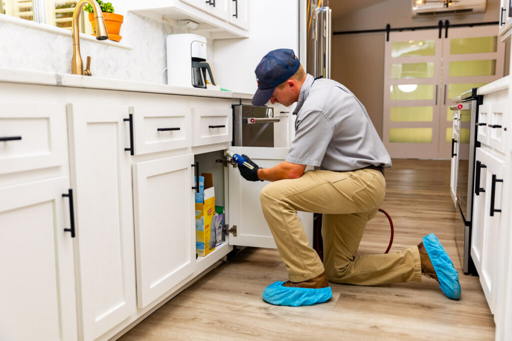Middletown xpert pest management